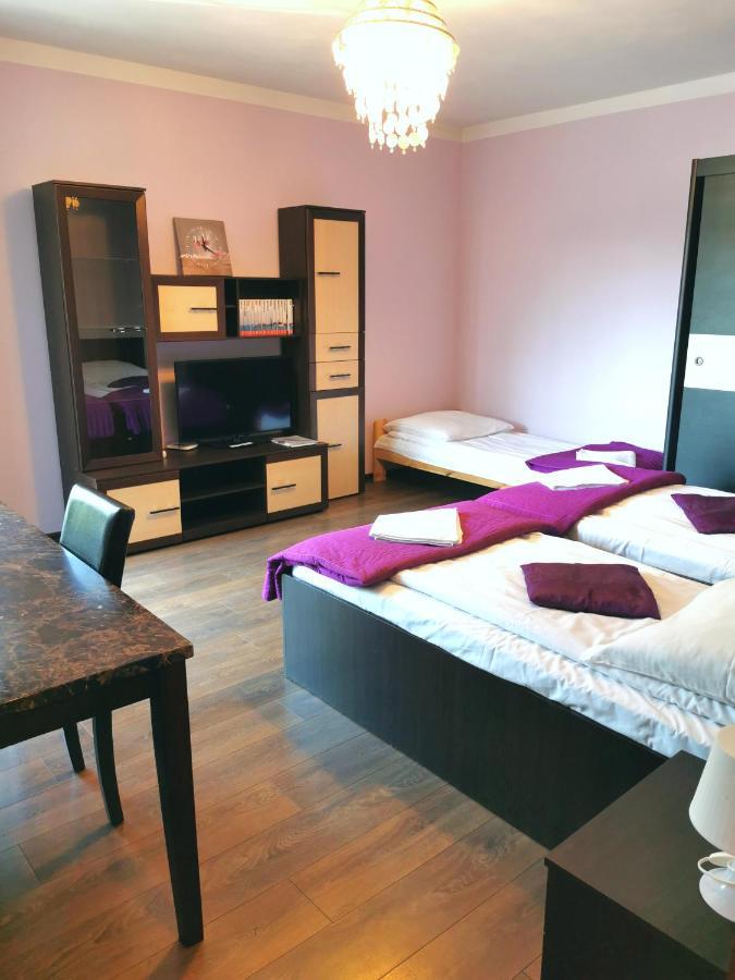 Apartament Dolna *